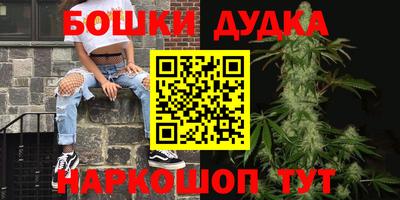 прущие грибы Ангарск