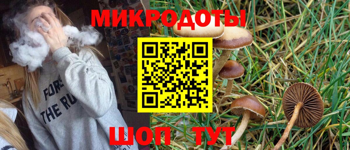 Галлюциногенные грибы Psilocybe Муравленко