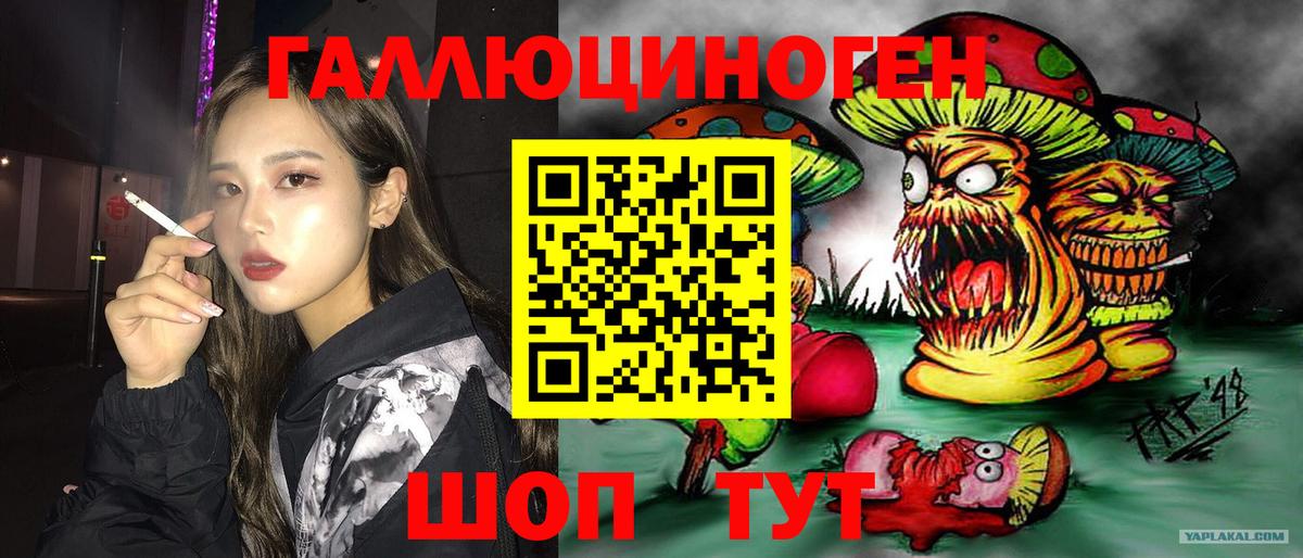 как найти закладки  Псилоцибиновые грибы мухоморы  Вход с VPN  Псилоцибиновые грибы GOLDEN TEACHER  Муравленко 